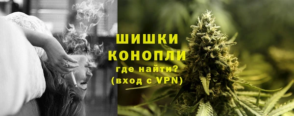 гидра Абаза