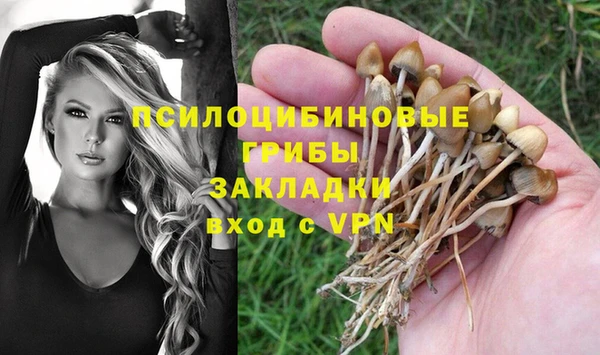 гидра Абаза
