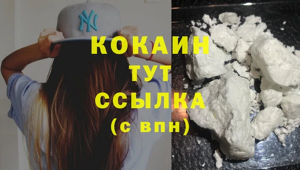 гидра Абаза