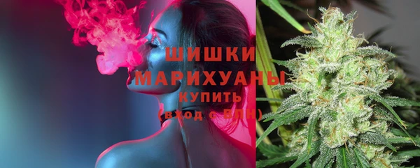 гидра Абаза