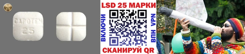 LSD-25 экстази ecstasy  сайты даркнета состав  Алзамай 