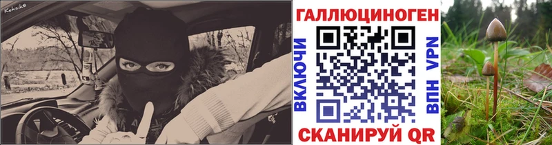 Галлюциногенные грибы прущие грибы  Алзамай 