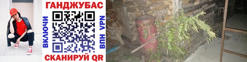 Канабис планчик  Алзамай 